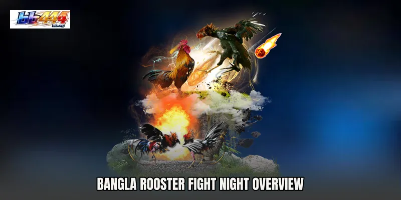 Bangla Rooster Fight Night Overview