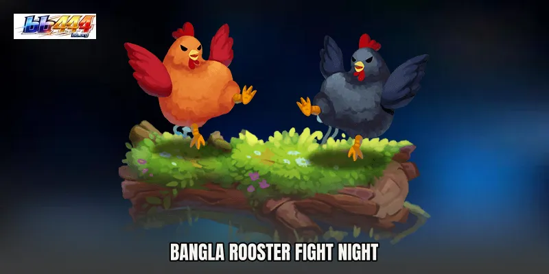 Bangla Rooster Fight Night