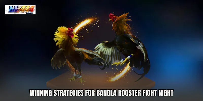 Winning Strategies for Bangla Rooster Fight Night