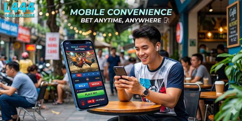 Accessibility for Mobile Users