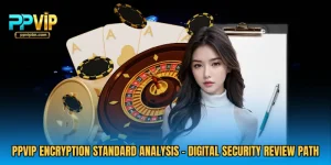 PPVIP Encryption Standard Analysis - Digital Security Review Path